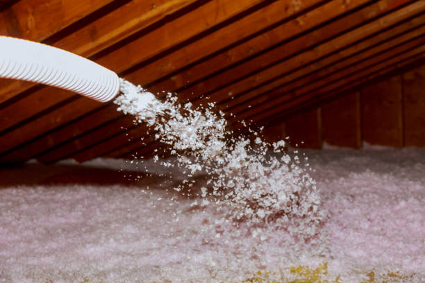 Best Commercial Insulation in Fort Clark Springs, TX